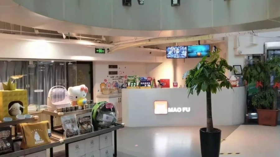 金蝶云星辰寵物行業(yè)案例：新零售時(shí)代，寵物企業(yè)如何決勝市場(chǎng)?